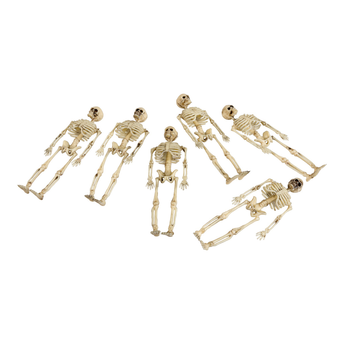 Skelett 6-pack 15 CM