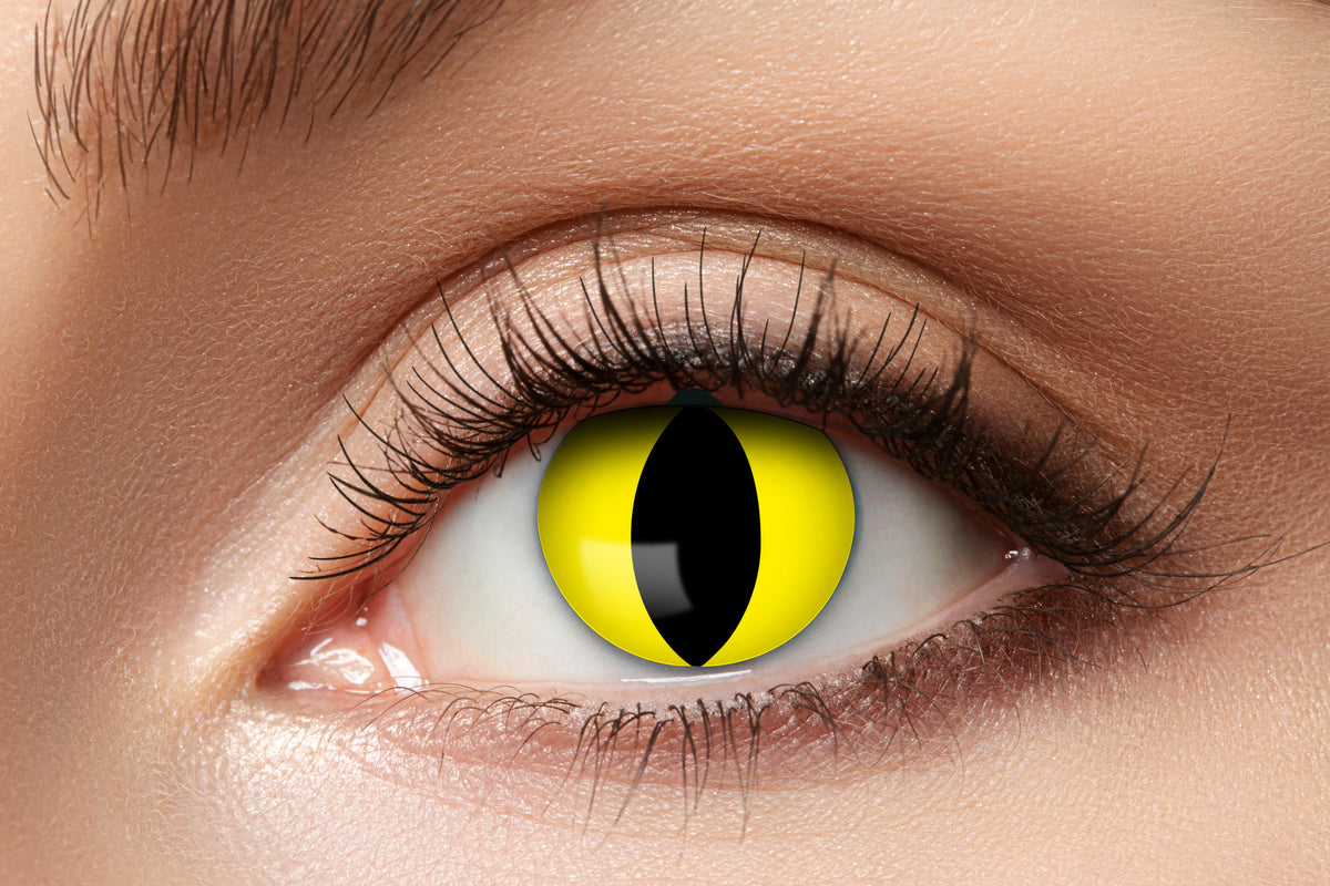 Linser 1 Vecka – Yellow Cat