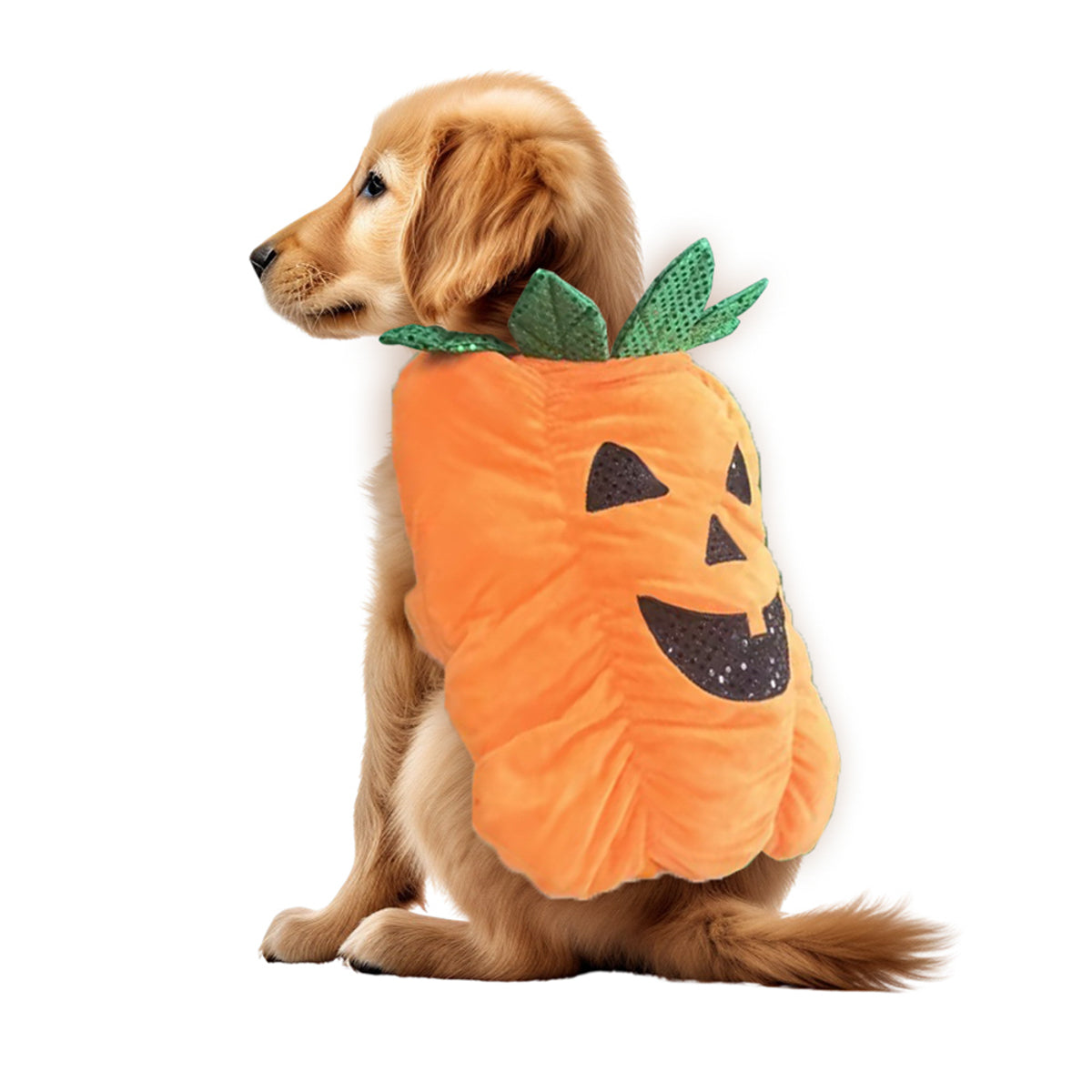 Pumpa – Maskeraddräkt Hund